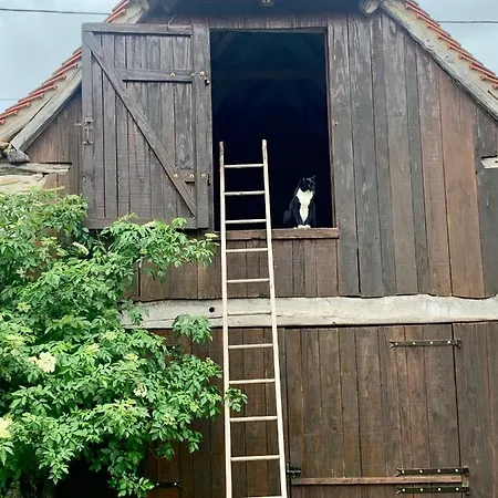 D'hotes Pech Blanc Oda ve Kahvaltı