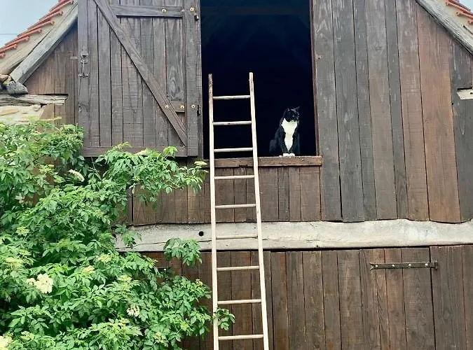 Pech Blanc, Charming Bb In Southwest France Oda ve Kahvaltı