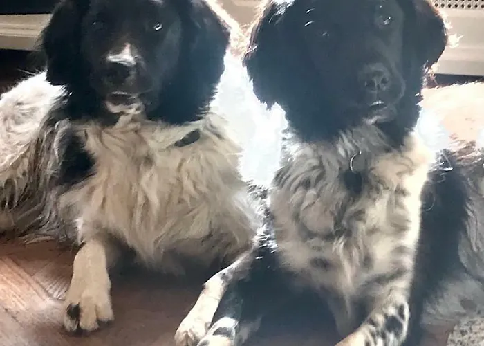 Oda ve Kahvaltı Pech Blanc, Charming Bb In Southwest France