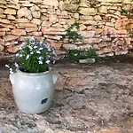 Pech Blanc, Charming Bb In Southwest France 3* Calvignac