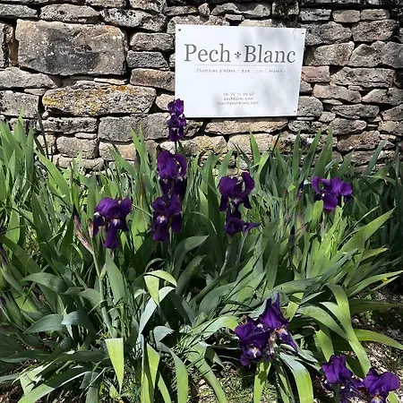 Bed and breakfast D'hotes Pech Blanc