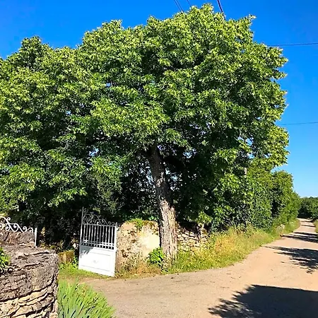 Pech Blanc, Charming Bb In Southwest France فندق مبيت وإفطار