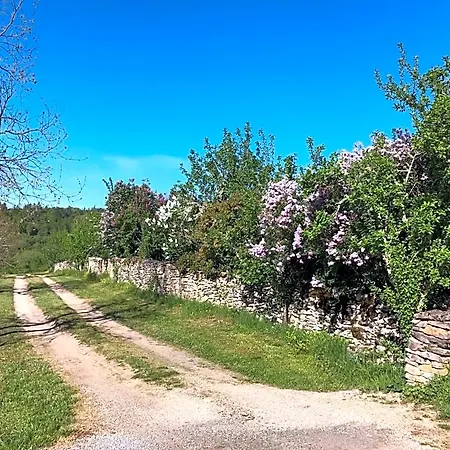 Pech Blanc, Charming Bb In Southwest France