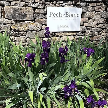 Pech Blanc, Charming Bb In Southwest France