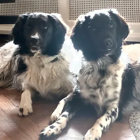 Bed and Breakfast D'hotes Pech Blanc