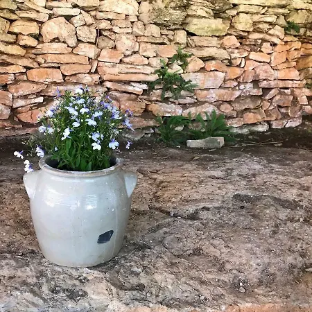 D'hotes Pech Blanc 3* Calvignac