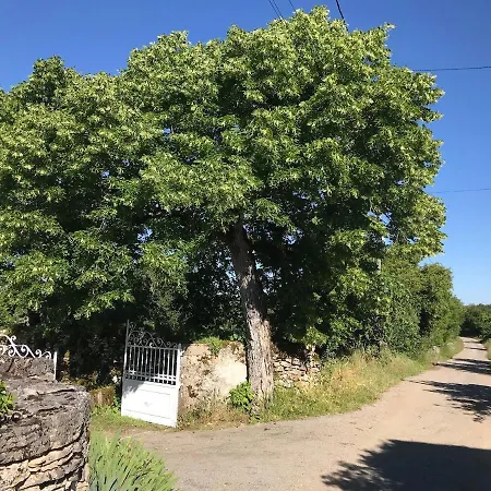 Bed & Breakfast D'hotes Pech Blanc