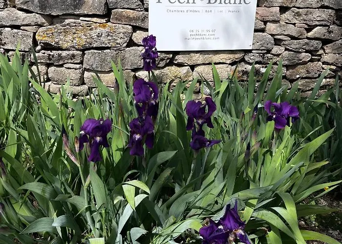 Bed & Breakfast Pech Blanc, Charming Bb In Southwest France